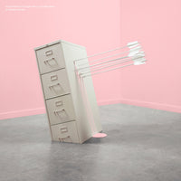 Load image into Gallery viewer, Modest Mouse - Good News For People Who Love Bad News (20th Anniversary)
