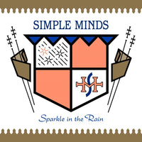 Load image into Gallery viewer, Simple Minds - Sparkle In The Rain (40th Anniversary)
