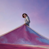 Load image into Gallery viewer, Cassandra Jenkins - My Light, My Destroyer
