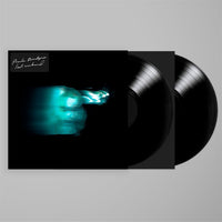 Load image into Gallery viewer, Phoebe Bridgers - Lost Weekend
