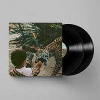 Load image into Gallery viewer, Unknown Mortal Orchestra - V
