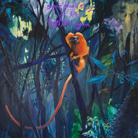 Load image into Gallery viewer, Bonnie Prince Billy - We Are Together Again
