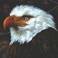 Load image into Gallery viewer, Mogwai - The Hawk Is Howling
