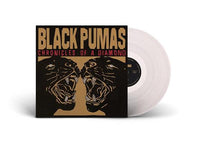Load image into Gallery viewer, Black Pumas - Chronicles Of A Diamond
