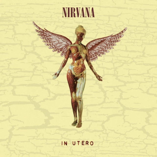 Nirvana - In Utero (30th Anniversary Edition)