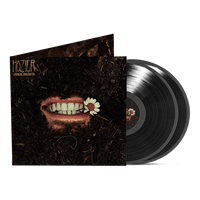 Load image into Gallery viewer, Hozier - Unreal Unearth
