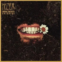 Load image into Gallery viewer, Hozier - Unreal Unearth Unending
