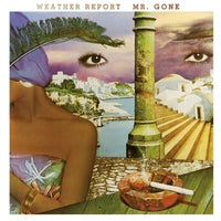 Load image into Gallery viewer, Weather Report - Mr. Gone
