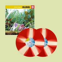 Load image into Gallery viewer, Bubbi - Sól að morgni
