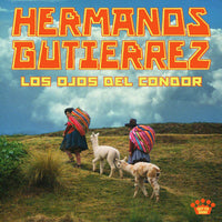 Load image into Gallery viewer, Hermanos Gutiérrez - Los Ojos del Condor
