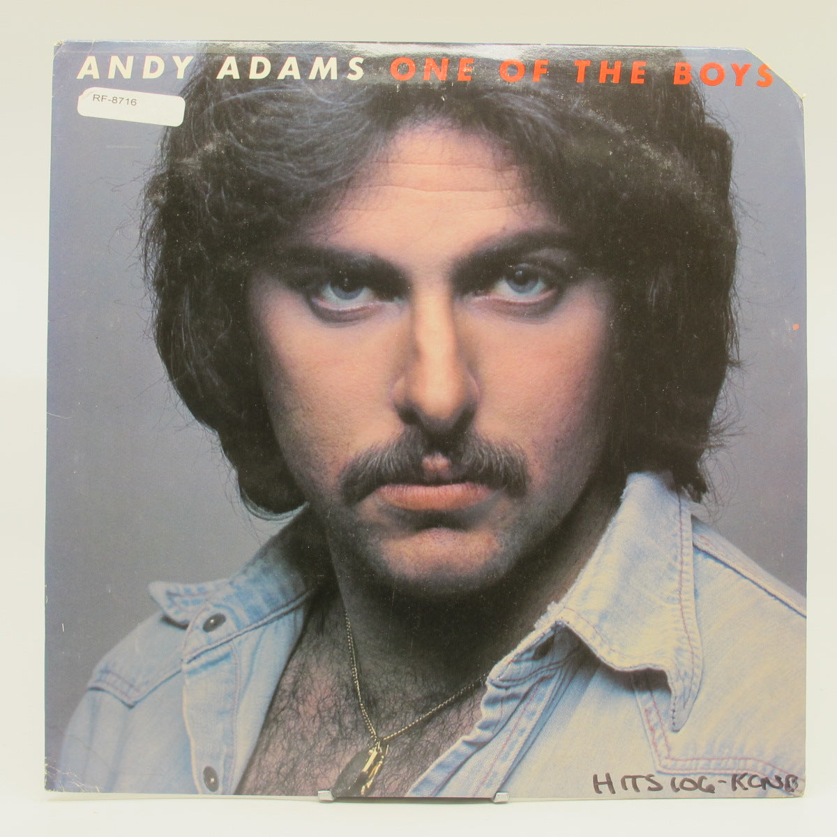 Notuð plata: Andy Adams* : One Of The Boys (LP, Album) í vefverslun ...