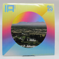 Load image into Gallery viewer, Ýmsir - A Taste Of Iceland Airwaves 2024 (Notuð plata VG+)
