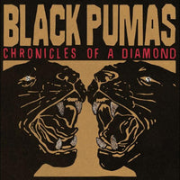 Load image into Gallery viewer, Black Pumas - Chronicles Of A Diamond

