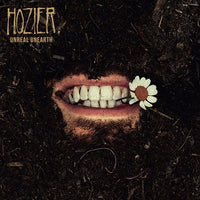 Load image into Gallery viewer, Hozier - Unreal Unearth
