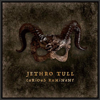 Load image into Gallery viewer, Jethro Tull - Curious Ruminant
