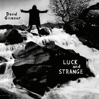 Load image into Gallery viewer, David Gilmour - Luck and Strange
