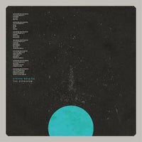 Load image into Gallery viewer, Steven Wilson - The Overview
