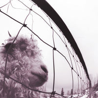 Load image into Gallery viewer, Pearl Jam - VS. (30th Anniversary Edition)
