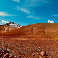 Load image into Gallery viewer, Pulp - More
