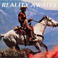 Load image into Gallery viewer, Strokes - Reality Awaits

