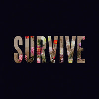 Load image into Gallery viewer, Lewis Capaldi - Survive
