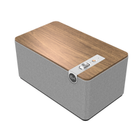 Load image into Gallery viewer, Klipsch - The Three Plus Premium Bluetooth hátalari
