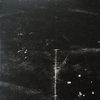 Load image into Gallery viewer, Lykke Li - Wounded Rhymes (10th Anniversary Edition)
