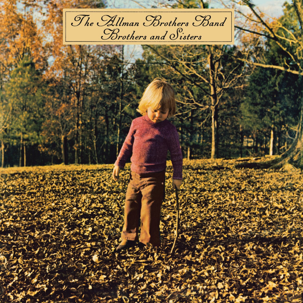 Allman Brothers Band - Brothers and Sisters