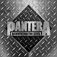 Load image into Gallery viewer, Pantera - Reinventing The Steel (20th Anniversary Edition)
