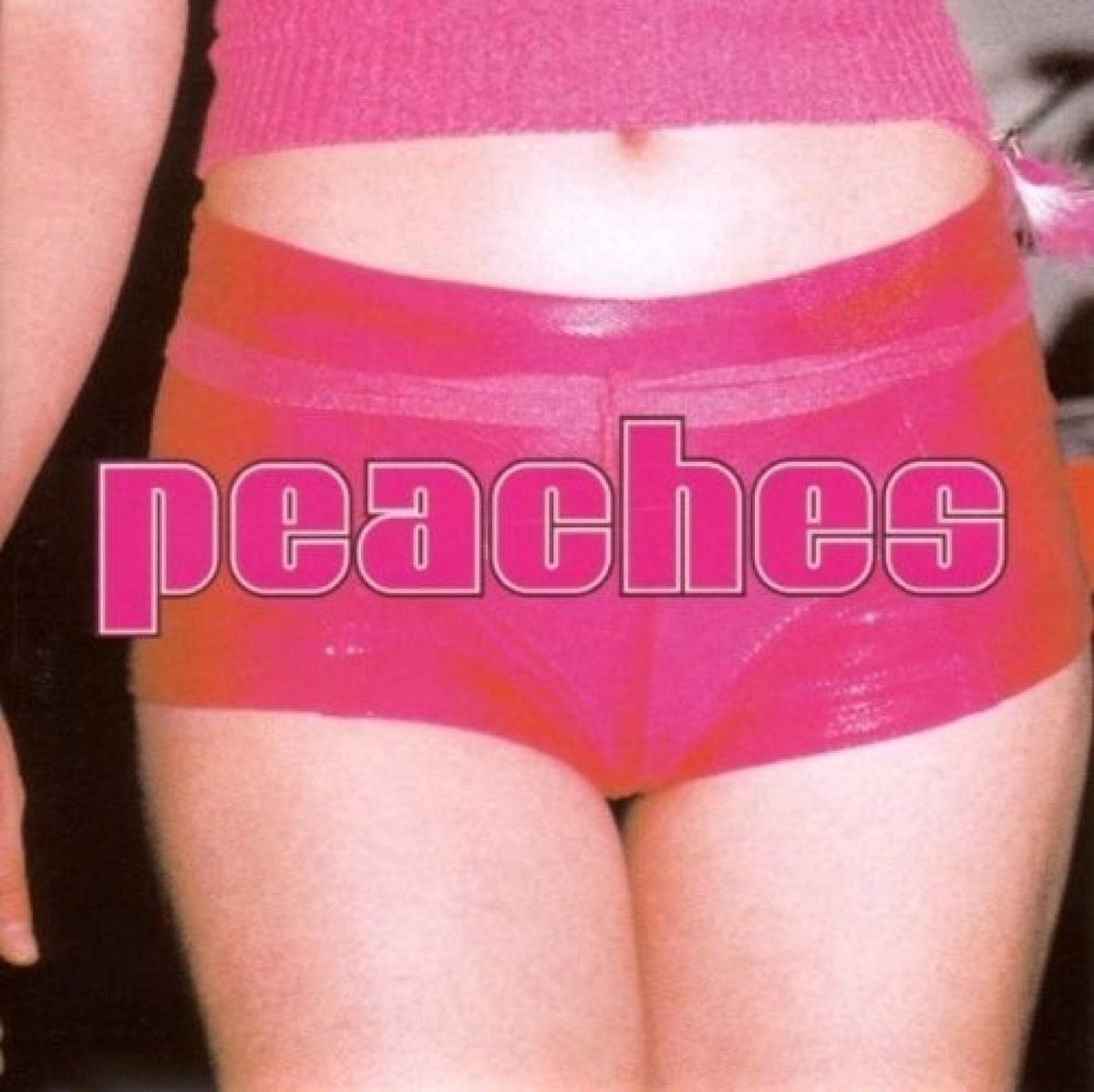 Peaches - The Teaches of Peaches