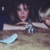 Load image into Gallery viewer, Big Thief - Masterpiece
