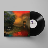 Load image into Gallery viewer, Sharon Van Etten - We've Been Going About This All Wrong
