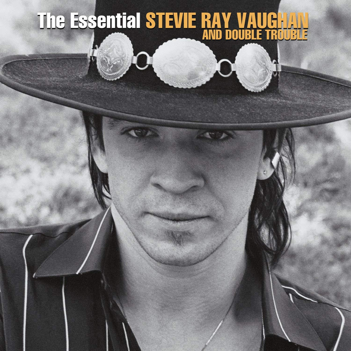 Stevie Ray Vaughan And Double Trouble ‎- The Essential