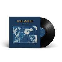 Load image into Gallery viewer, Tindersticks - Distractions
