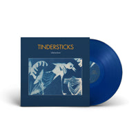 Load image into Gallery viewer, Tindersticks - Distractions
