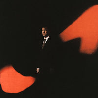 Load image into Gallery viewer, Totally Enormous Extinct Dinosaurs - When The Lights Go
