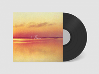 Load image into Gallery viewer, Andy Shauf - Norm
