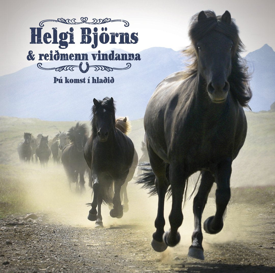 Helgi Björns og Reiðmenn vindanna - Þú komst í hlaðið (CD)