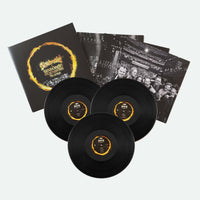 Load image into Gallery viewer, Skálmöld og Sinfóníuhljómsveit Íslands (3LP)
