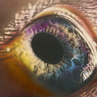 Load image into Gallery viewer, Arcade Fire - We
