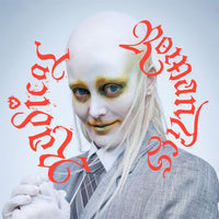 Load image into Gallery viewer, Fever Ray - Radical Romantics
