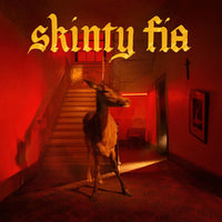 Load image into Gallery viewer, Fontaines D.C. - Skinty Fia
