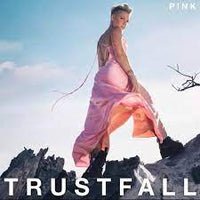 Load image into Gallery viewer, Pink - Trustfall
