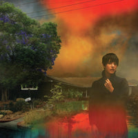 Load image into Gallery viewer, Sharon Van Etten - We've Been Going About This All Wrong
